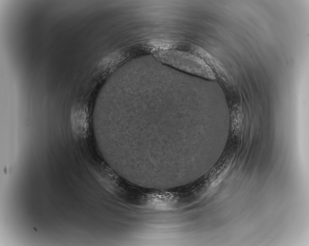 X0000093400215200710260924