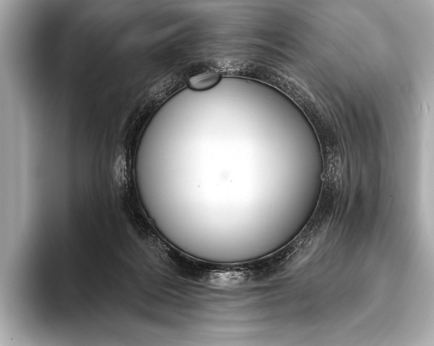 X0000093400220200710260924