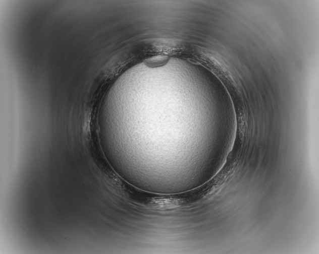 X0000093400221200710260924