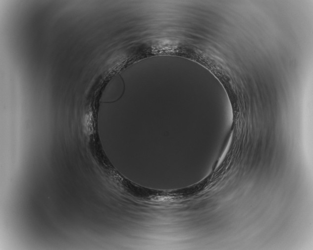 X0000093400224200710260924