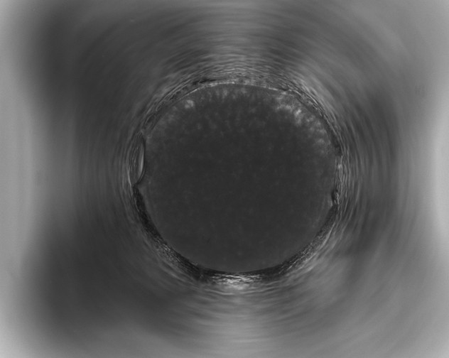 X0000093400229200710260924