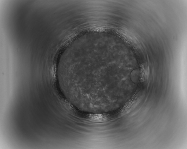 X0000093400230200710260924