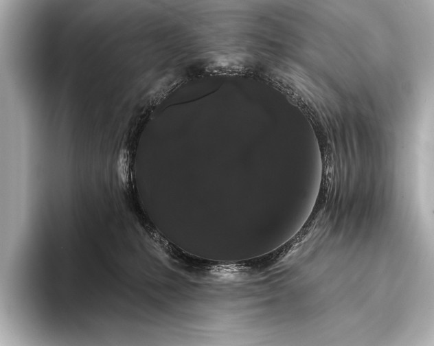 X0000093400231200710260924