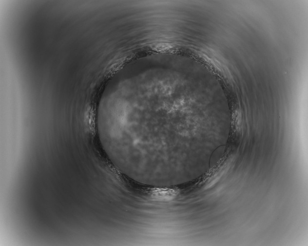 X0000093400234200710260923