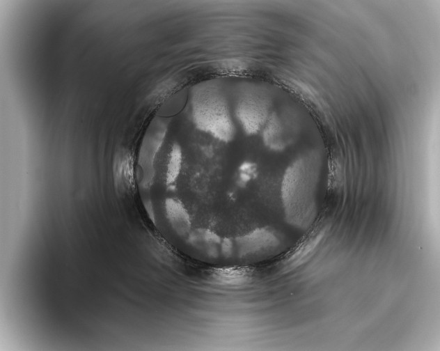 X0000093400238200710260923