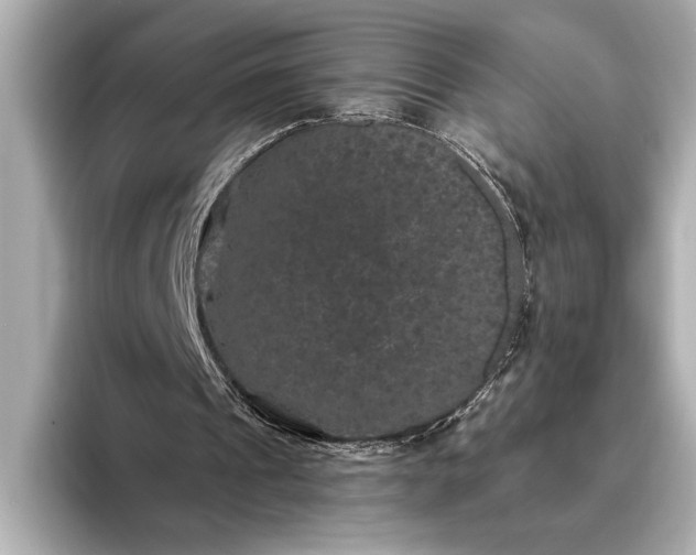 X0000093400241200710260923