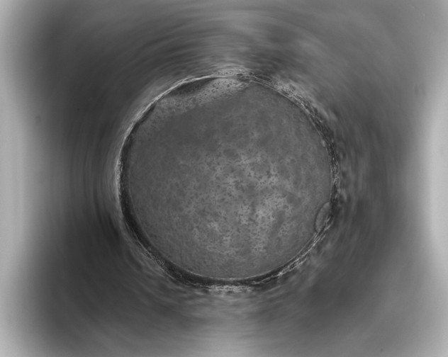 X0000093400242200710260923