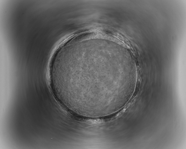 X0000093400245200710260923