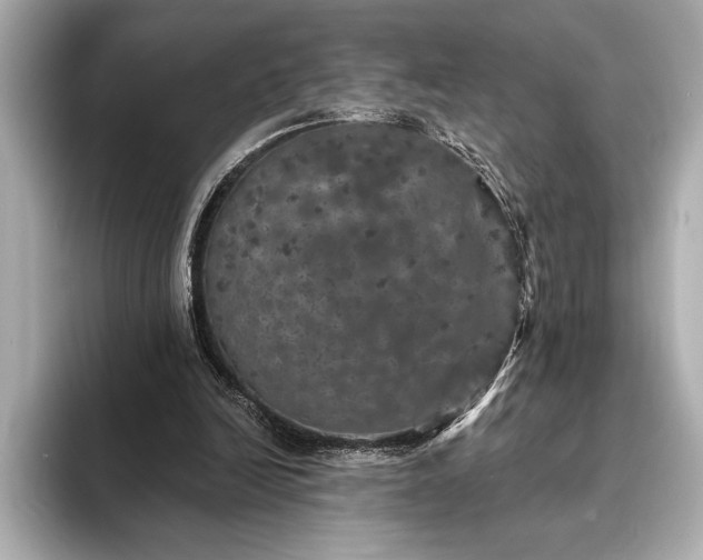 X0000093400246200710260923