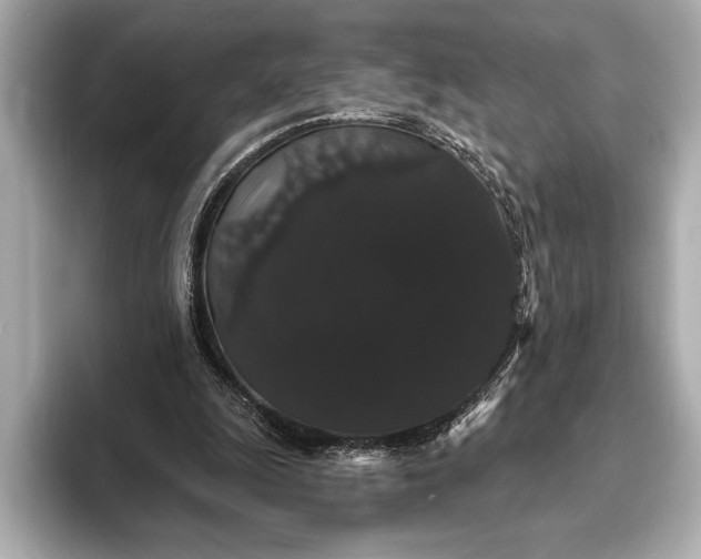 X0000093400247200710260923