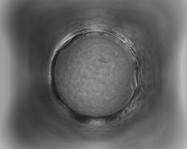 X0000093400248200710260923