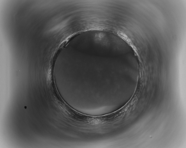 X0000093400249200710260923