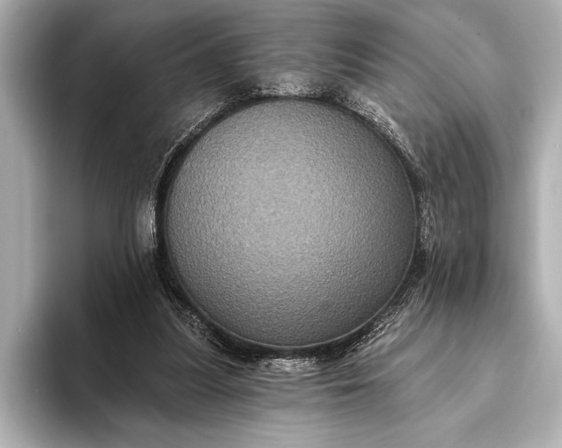 X0000093400251200710260923