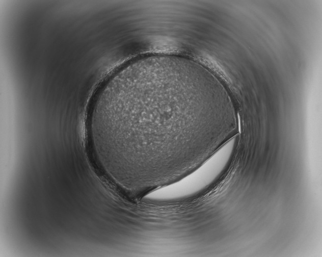 X0000093400252200710260923