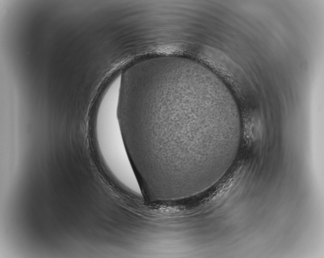 X0000093400256200710260923