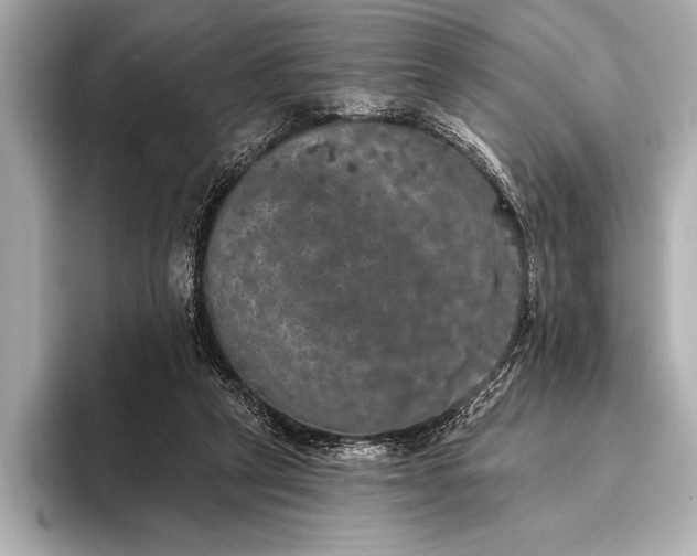 X0000093400257200710260923