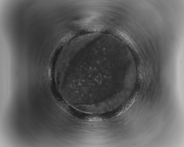 X0000093400258200710260923