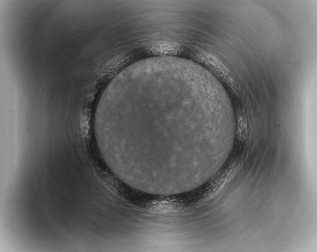 X0000093400259200710260923