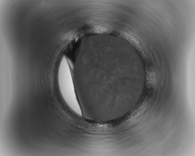 X0000093400260200710260923