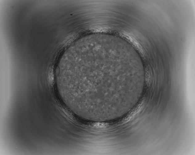 X0000093400261200710260923