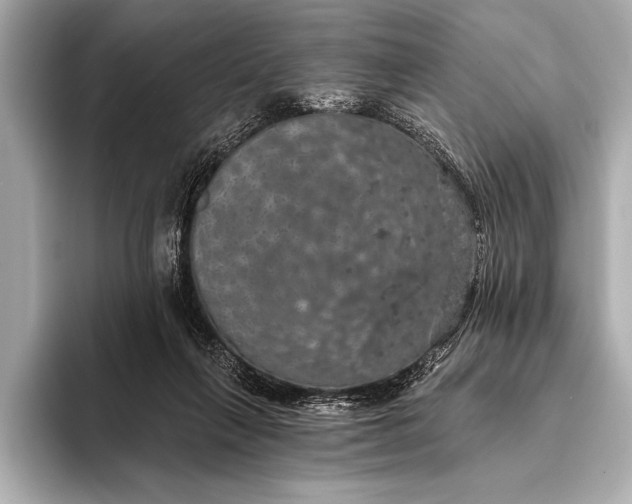 X0000093400263200710260923