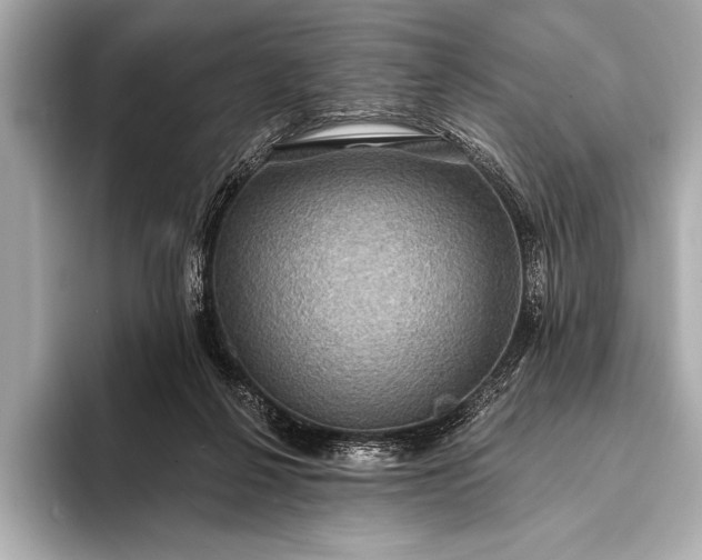 X0000093400264200710260923