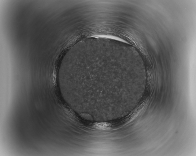 X0000093400269200710260923