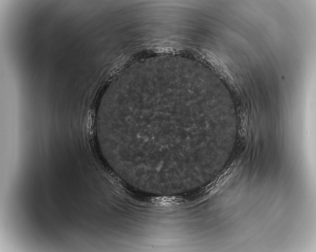 X0000093400273200710260923