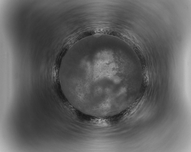 X0000093400276200710260923