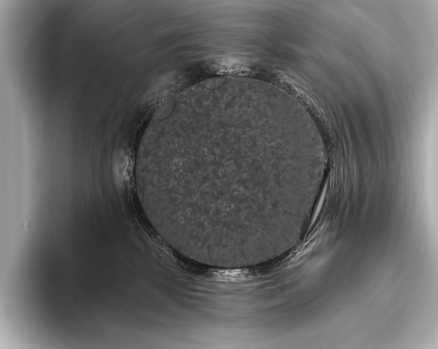 X0000093400281200710260923