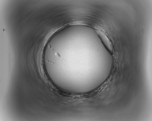 X0000093400289200710260923