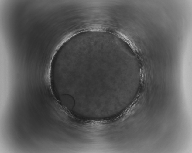 X0000093400292200710260923