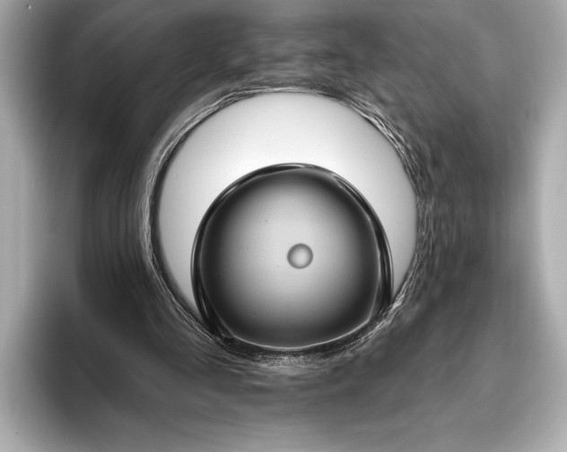 X0000093400293200710260923