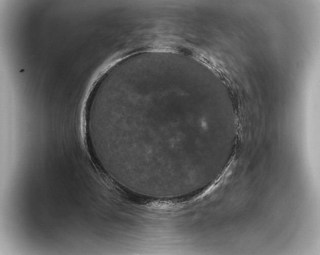 X0000093400294200710260923