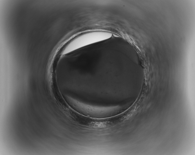 X0000093400295200710260923