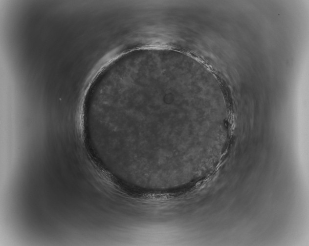 X0000093400296200710260923