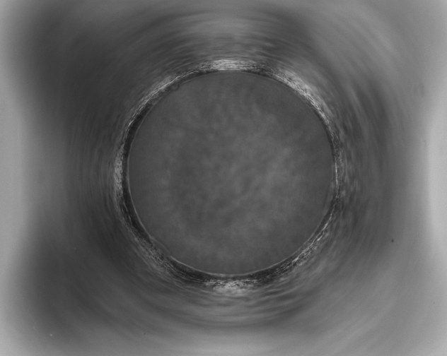 X0000093400297200710260923