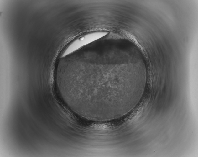 X0000093400299200710260923