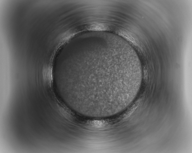 X0000093400302200710260923