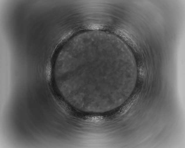 X0000093400304200710260923