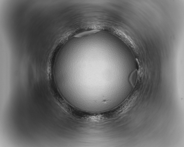 X0000093400306200710260923