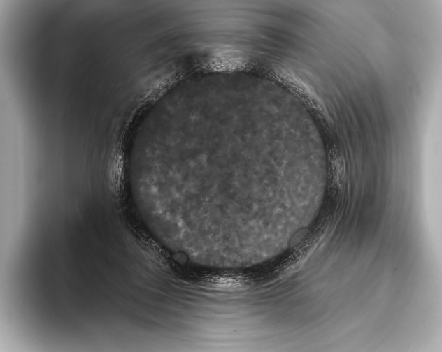 X0000093400308200710260922