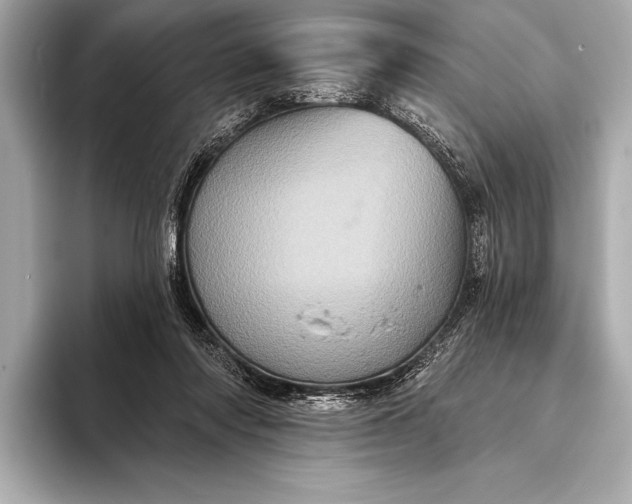 X0000093400310200710260922