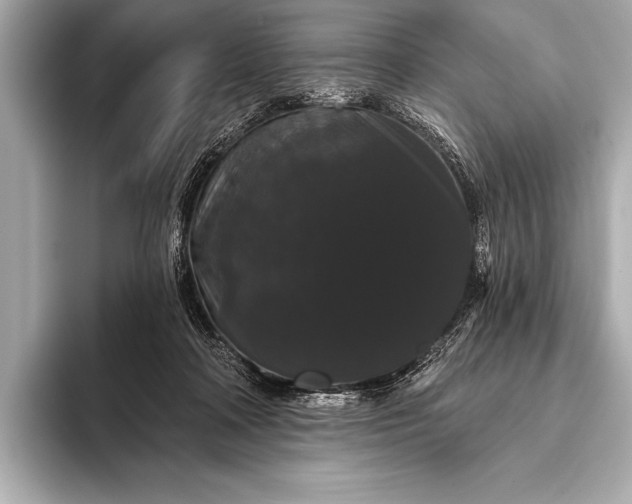 X0000093400314200710260922