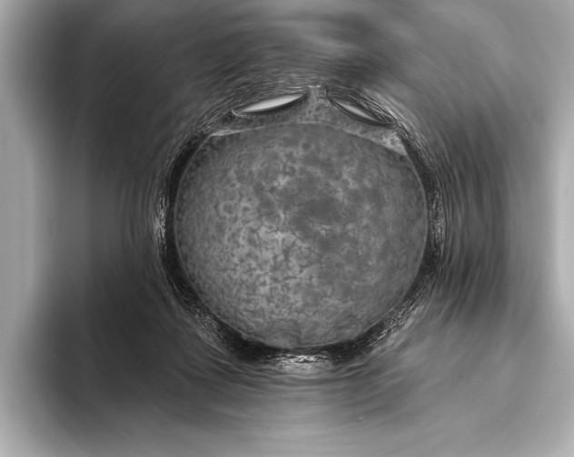 X0000093400315200710260922