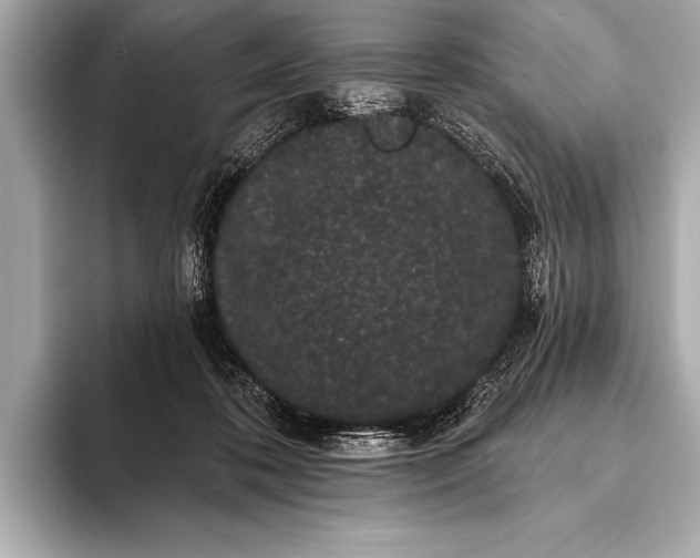 X0000093400316200710260922