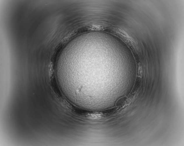 X0000093400318200710260922