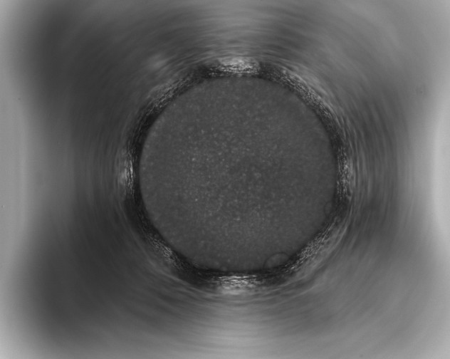 X0000093400320200710260922