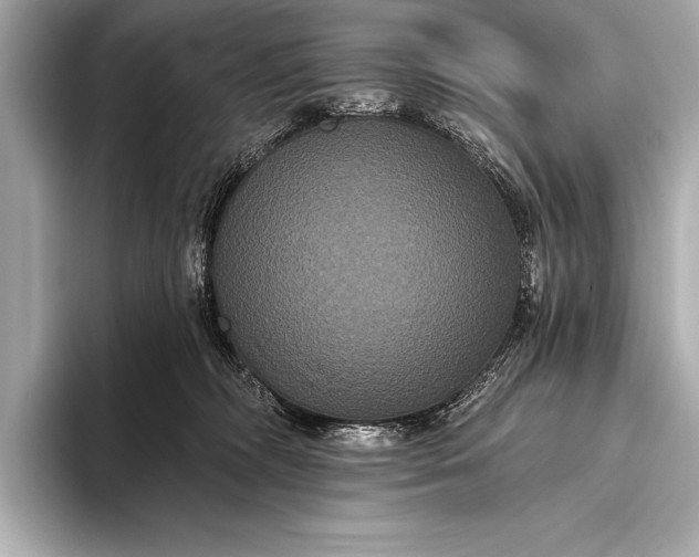 X0000093400326200710260922