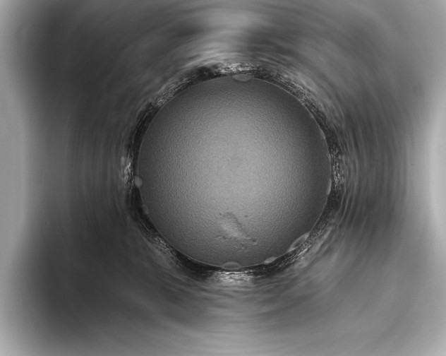 X0000093400327200710260922